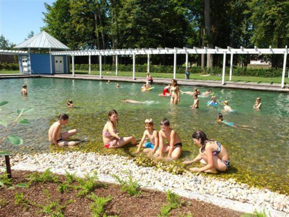 Ferienhaus Chalet Blockhaus Bayern Stamsried 外观 照片
